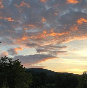 Meet your Posher, Rhonda